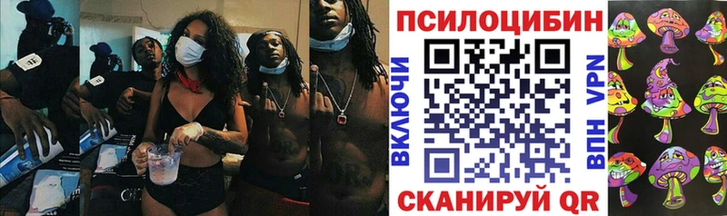 omg как войти  Белогорск  Псилоцибиновые грибы мухоморы 